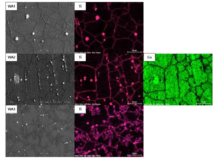 1000시간 열처리 후 WA계열 SEM 및 EDS 측정 결과
