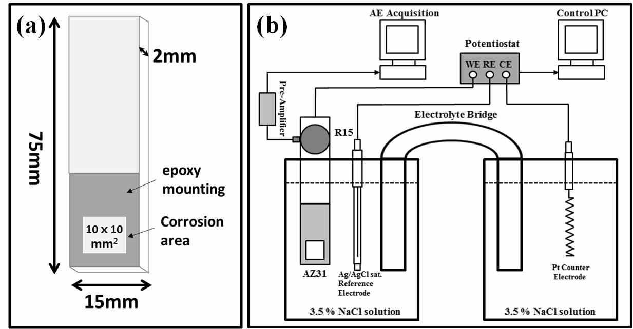 (a) AZ31 부식 시편의 모식도, (b) 음향방출을 적용한 3-전극 시스템의 모식도.