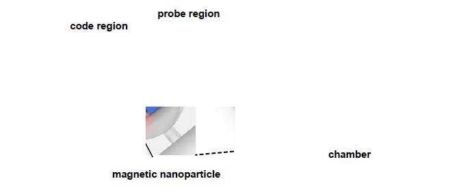 Multiwell 기반 in-situ PCR을 통한 miRNA profiling 방법