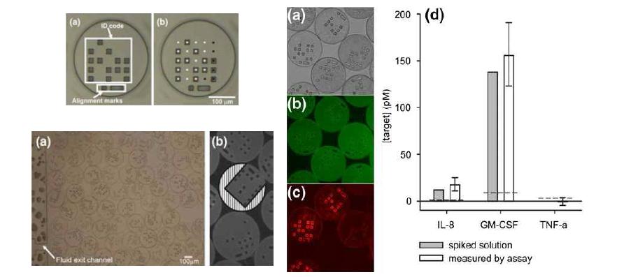 SU-8 microparticle에 dot 패터닝을 통해 구현한 multiplexing 인코딩 시스템 (왼쪽). Encoded SU-8 microparticle을 이 용하여 3-plex immunoassay에 적용시킨 예 (오른쪽).