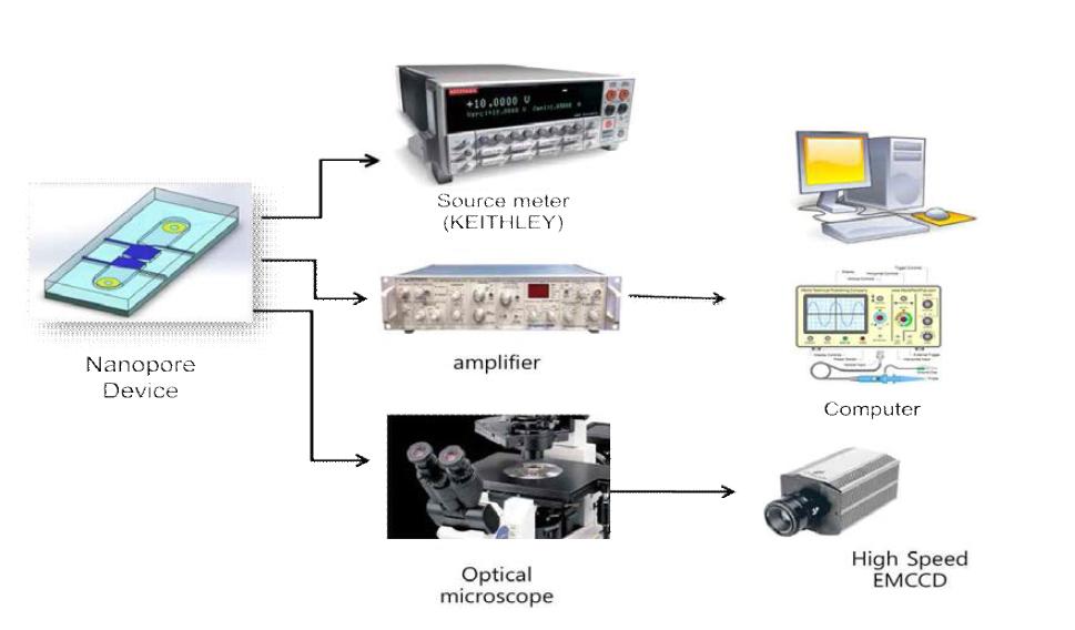 나노소자 내 세포외소포체 특성분석을 위한 장비구성