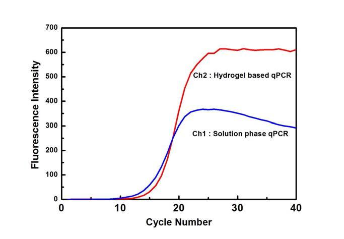 액상 PCR 대비 하이드로젤 기반 qPCR