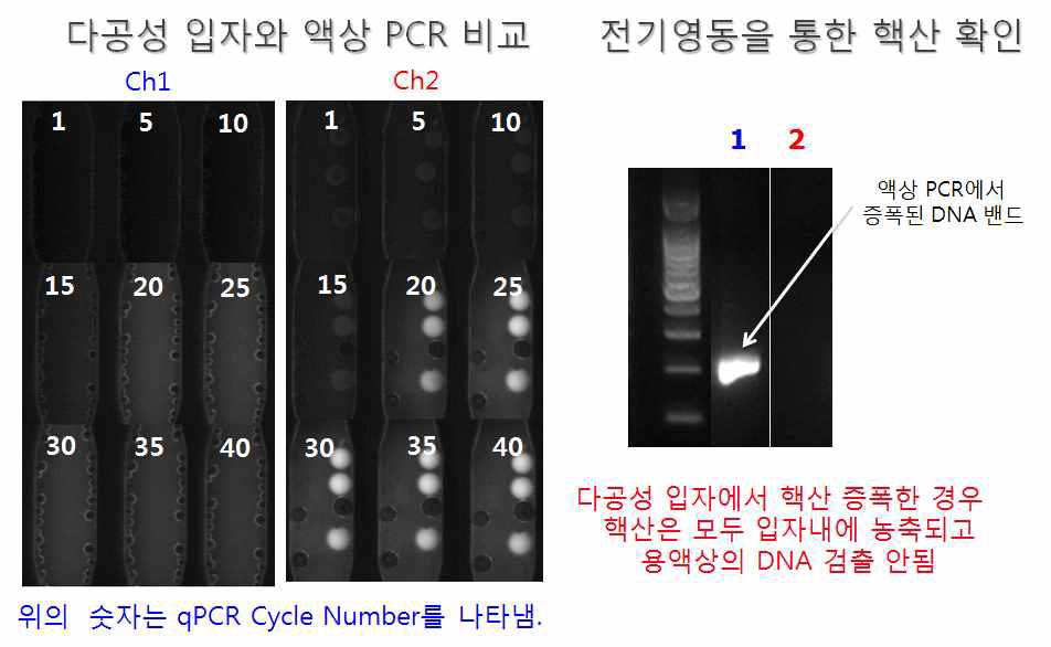다공성 입자와 액상 PCR의 비교