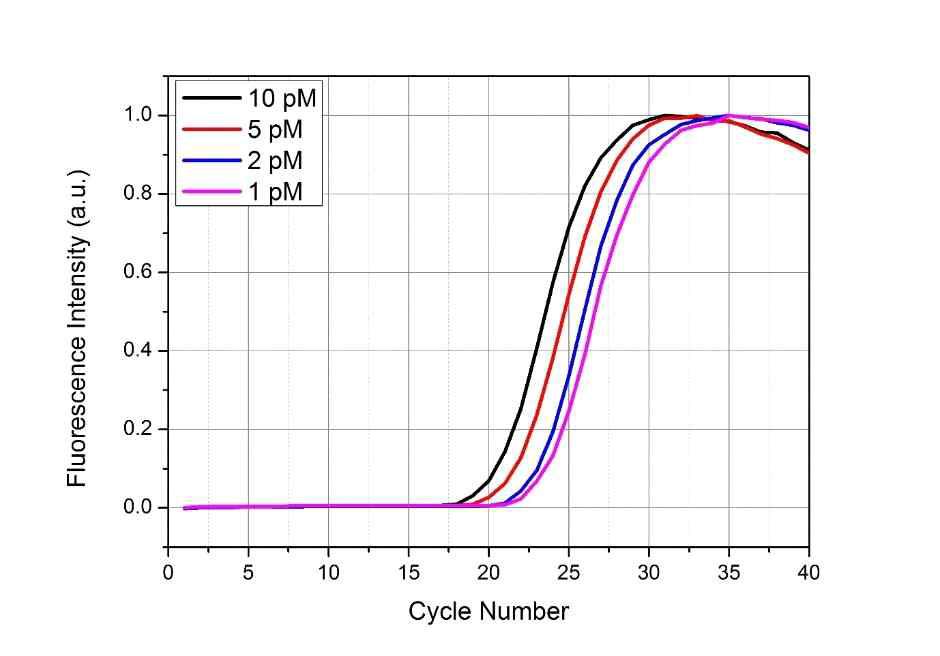 미세 농도 차이에 따른 PCR 그래프 비교