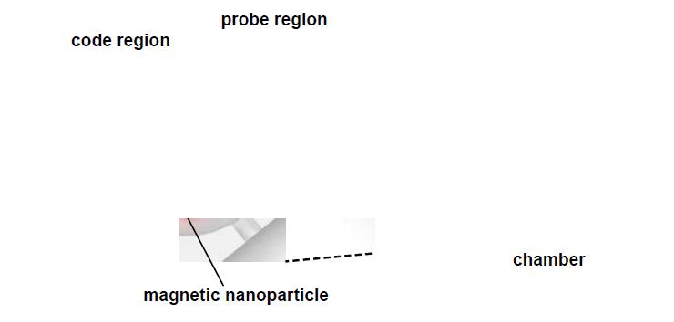 Multiwell 기반 in-situ PCR을 통한 miRNA profiling 방법