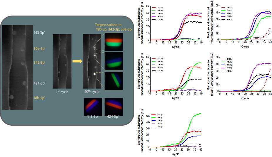 QD stripe로 인코딩된 PEGDA 하이드로젤 microparticle을 이용한 real-time qPCR 및 알츠하이머 병 관련 miRNA 5가지의 동시다중 검출 결과