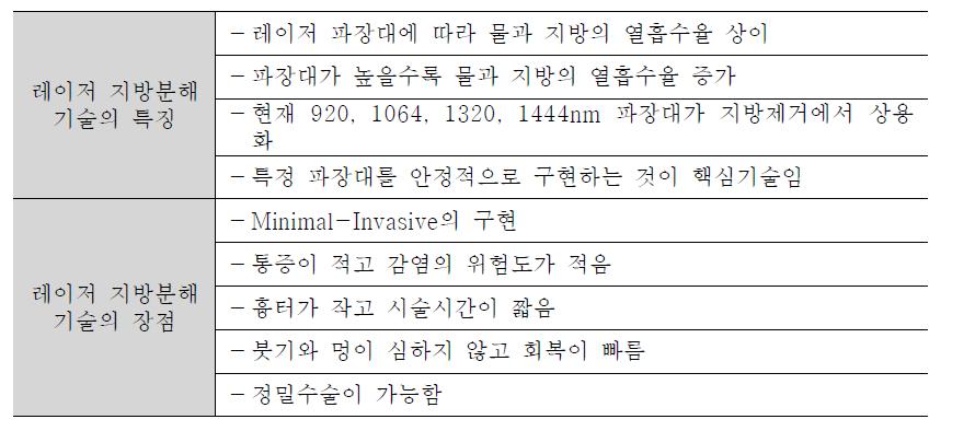 레이저 지방분해 기술의 특징과 장점