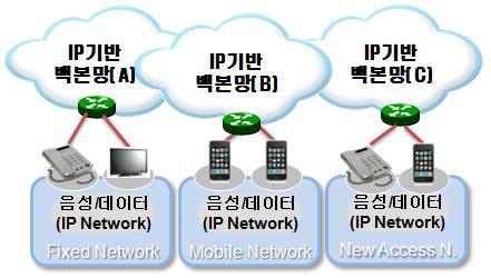 개별적 IP화 단계의 망 구조