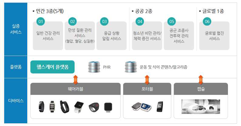 글로벌 수준의 헬스케어 서비스 모델 개발