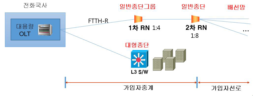 중고밀도 지역 가입자망 설계 구조