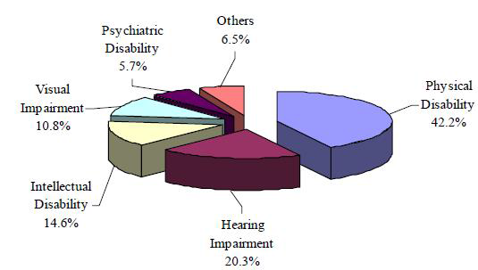 태국 장애인의 장애 유형별 분포도