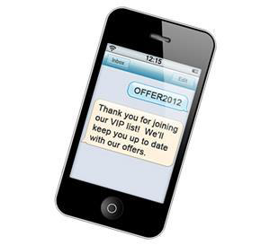 단문 메시지 서비스 (SMS)