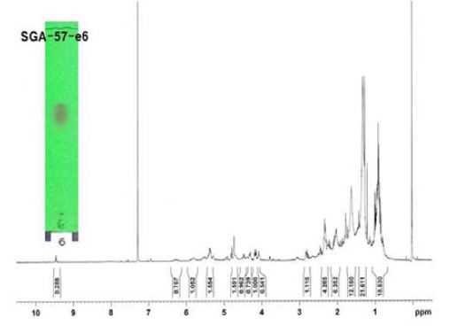 n-Hexane(9) : Ethyl Acetate(1)에서 분리해 낸 단일물질 1의 NMR 데이터