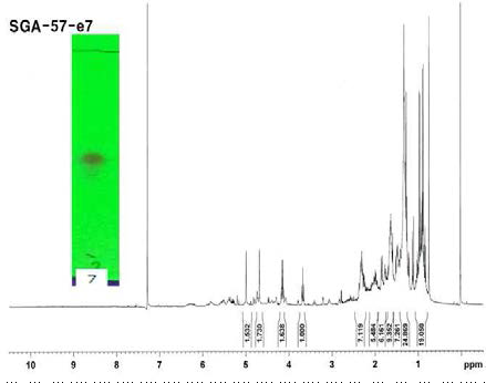 n-Hexane(9) : Ethyl Acetate(1)에서 분리해 낸 단일물질 2의 NMR 데이터