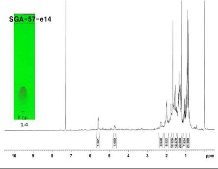 n-Hexane(9) : Ethyl Acetate(1)에서 분리해 낸 단일물질 3의 NMR 데이터