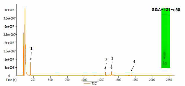 Methylene Chloride(97) : Methanol(3)에서 분리해 낸 단일물질의 GC-MS 데이터