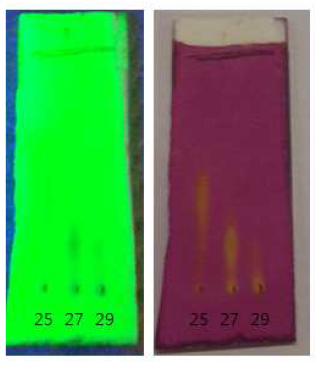 n-Hexane(1):EA(5)의 전개용매로 분리된 황칠성분