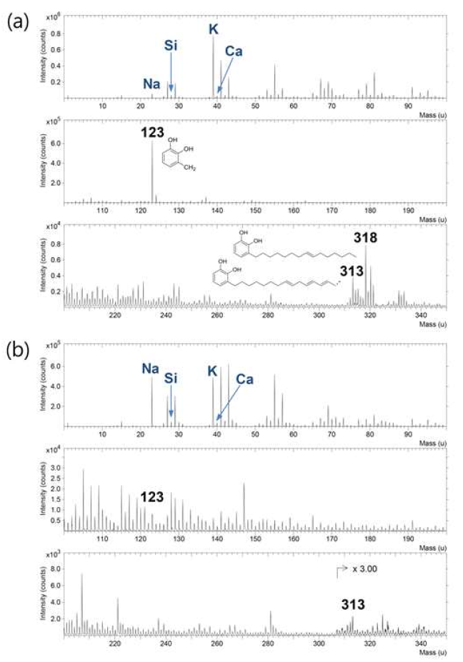 a)옻칠 필름, (b)옻칠 그릇 조각의 positive ion TOF-SIMS spectra