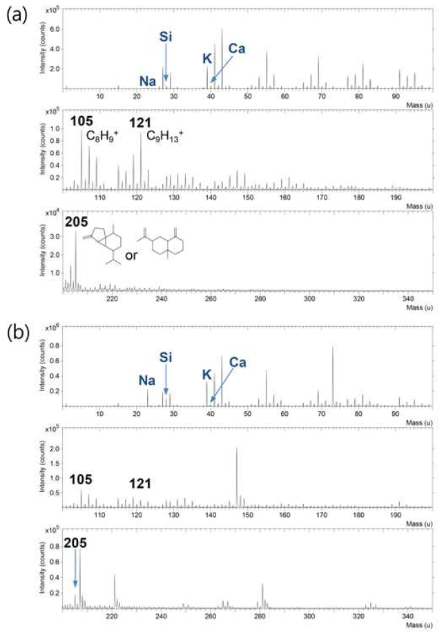 (a)황칠 필름, (b)황칠 그릇 조각의 positive ion TOF-SIMS spectra