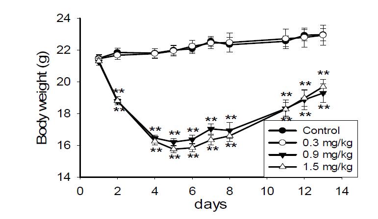 투여군별 체중변화 관찰 결과