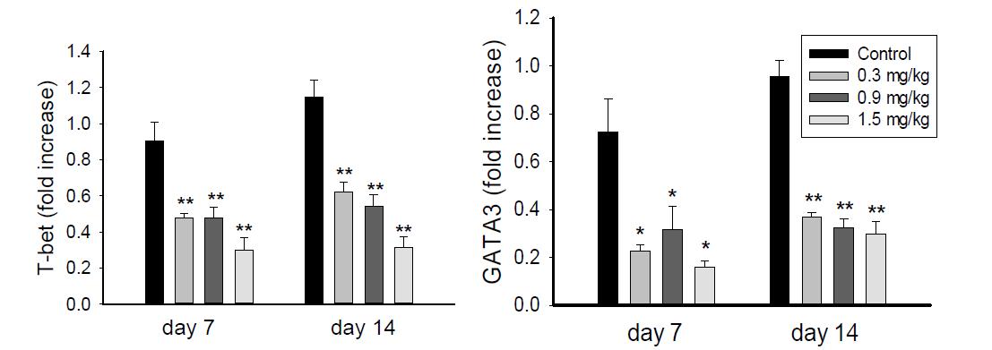 T cell의 분화 전사인자(T-bet 및 GATA3 mRNA) 발현 분석 결과