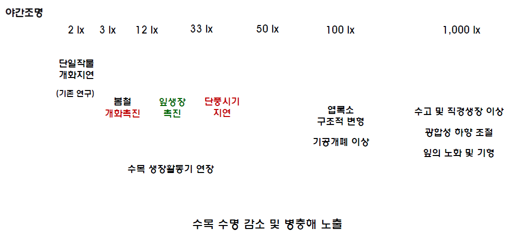 빛공해에 따른 식물생태 분야 조도별 영향 메커니즘