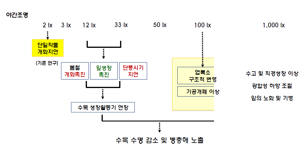 빛공해에 따른 식물생태 분야 조도별 영향 메커니즘