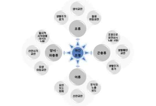 빛공해에 의한 동물의 생태계 영향 기작 개념도