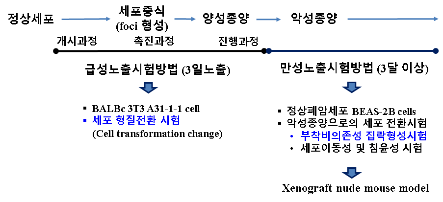 대체독성시험법으로서의 사용 전략