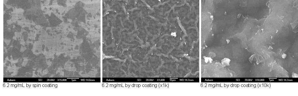 SEM characterization