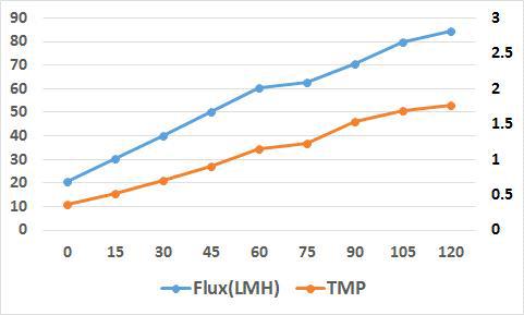 외산막 가압식 UF flux 및 TMP 테스트