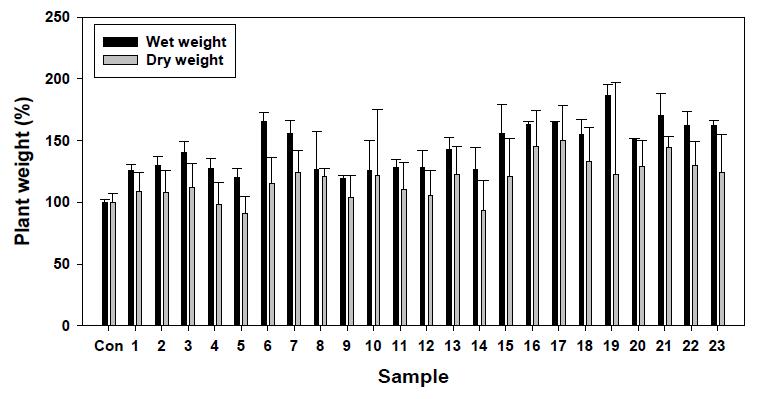 식물의 생중량 및 건중량 결과