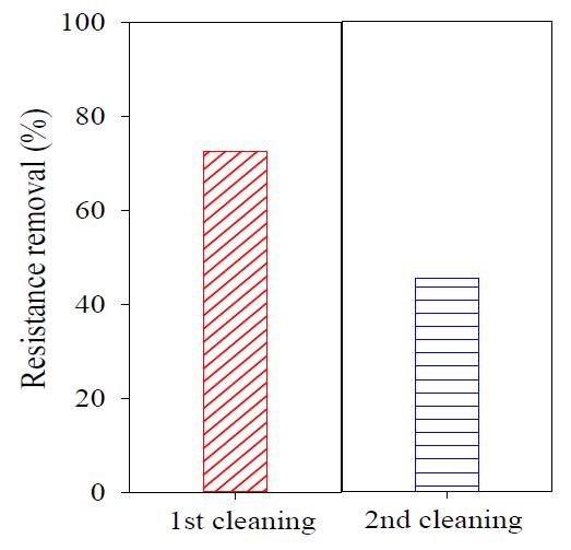 화학적 세정에 의한 제거율