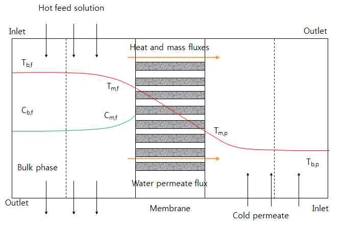 막증류 공정에서 발생하는 농도분극과 온도분극