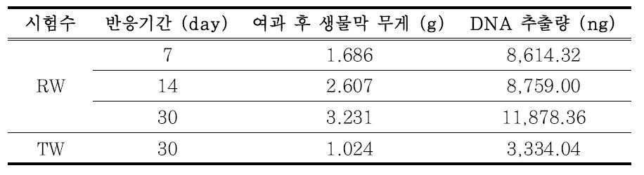 여과 후 생물막의 무게 및 DNA 추출량