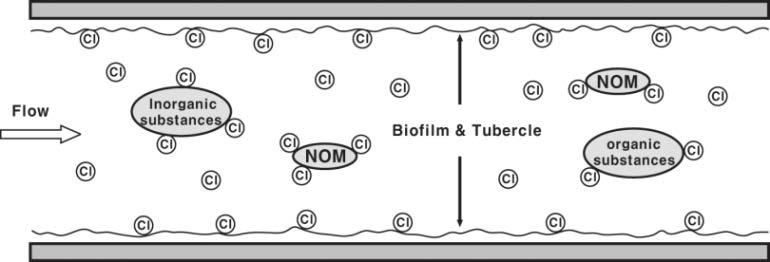 공급관망 내 잔류염소감소 매커니즘(Vasconcelos, 1997)