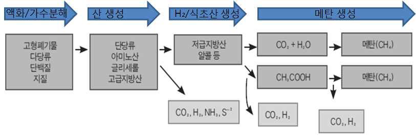 혐기성소화에 의한 유기물의 분해단계