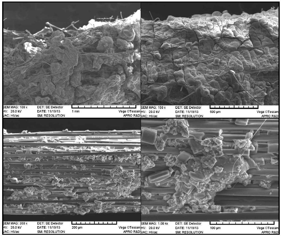 세라믹 섬유의 제올라이트 코팅면 SEM 사진