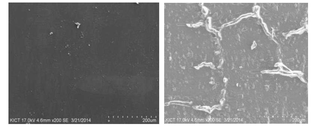 비정질 강섬유의 전자현미경 표면상태(앞/뒤)