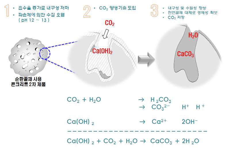 탄산화 메커니즘