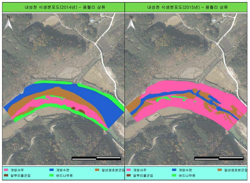 내성천 NS1(용혈 상류)조사지점 2014/2015년 현존 식생도 비교