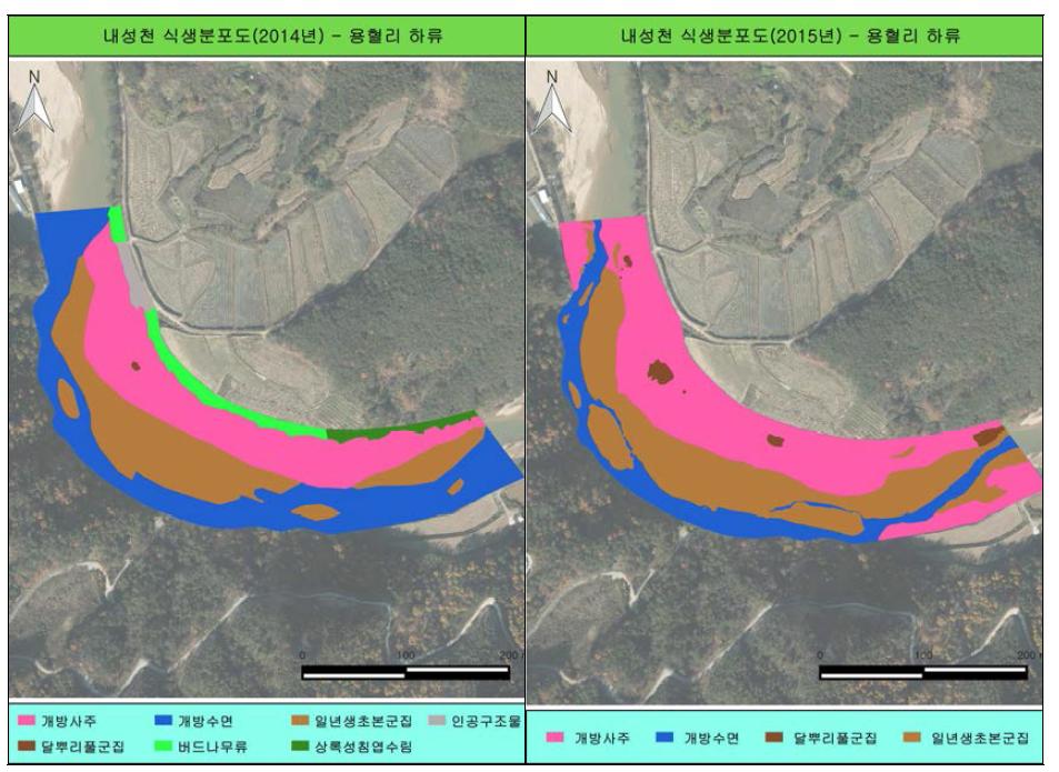 내성천 NS2(용혈 하류)조사지점 2014/2015년 현존 식생도 비교
