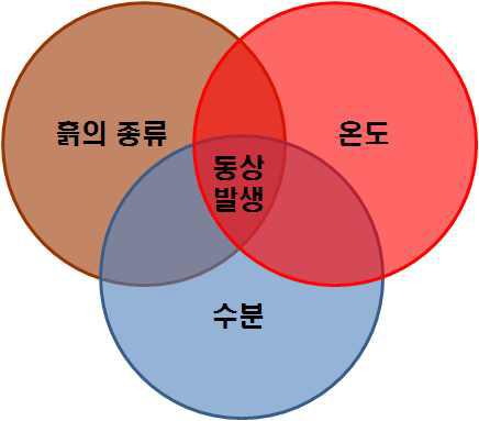 동상의 조건