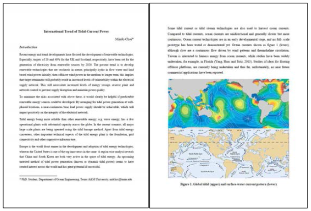 자문내용 3: International Trend of Tidal-Current Power