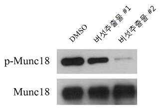 Munc18 을 이용한 in vitro assay 개발