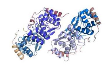 lbj5-lbj6 (toxin-antitoxin 결합체) 구조 그림