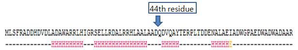 lbj15 의 아미노산 서열 및 44번째 잔기의 위치