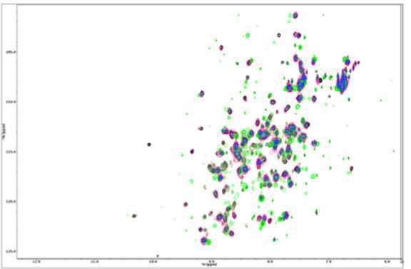 lbj30의 1H-15N 2D HSQC–ssRNA titration spectra overlaid