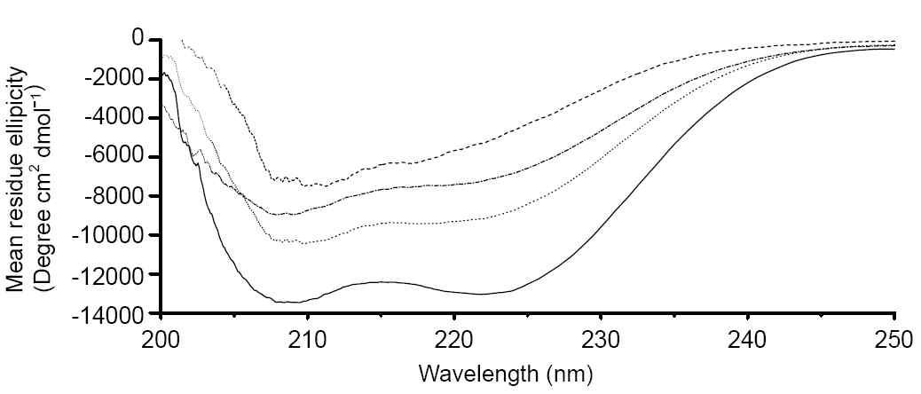 Suppressor domain 과 calmodulin 각각 혹은 결합체에 대한CD spectrum.