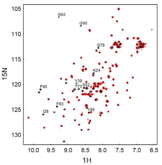 1H-15N labeled Homer의 NMR peaks (검정), suppressor lignad를 첨가하여 변화한 peaks (빨강)